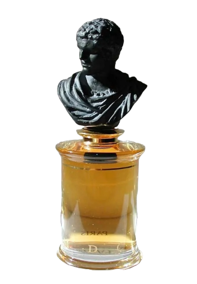 MDCI Chypre Palatin Black Bust Edition